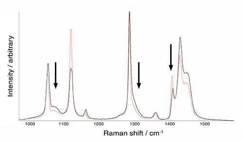 Spettri Raman di due campioni di polietilene con un diverso grado di cristallinità
